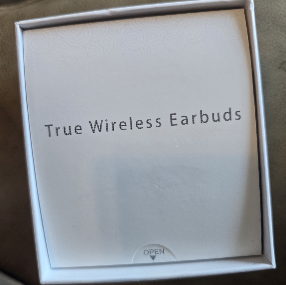 True Wireless Earbuds - White